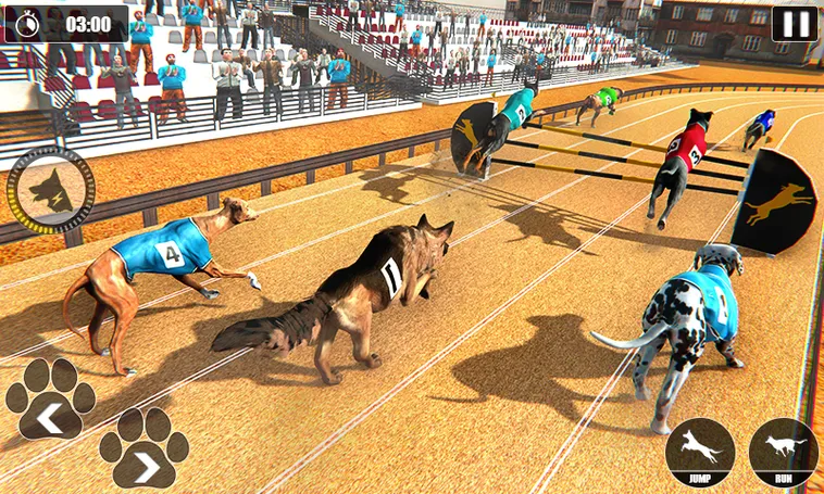 Hướng Dẫn Chơi Game Đua Chó Nhanh Thắng Lớn Tại Xoso66